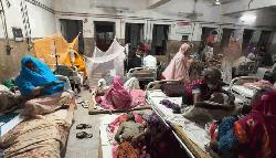 Dengue patients treated in medicine ward in Jamalpur
