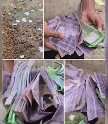 Fake currency found in two sacks at Bogura dumpsite