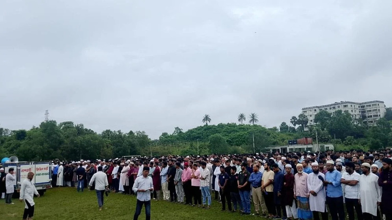 Collected Photo
