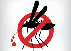 Dengue: 1,600 doctors being trained across 40 districts