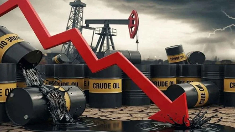 Collected Photo