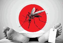7 die of dengue, 1,872 hospitalised in 24 hours