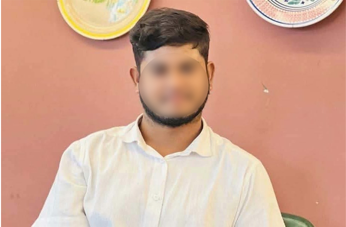 Collected Photo