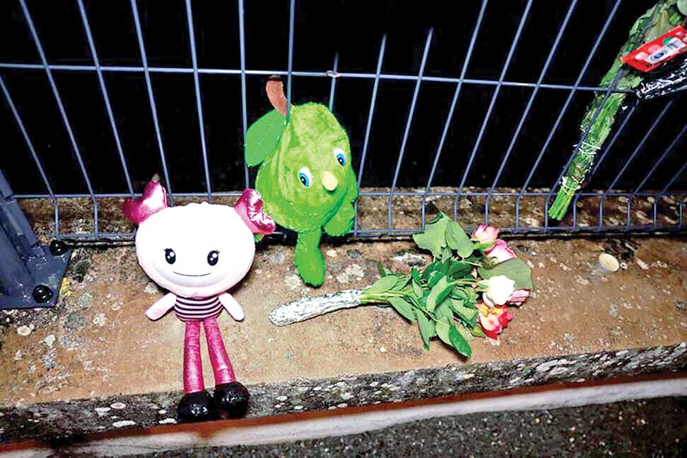 Flowers and toys are displayed in front of a school following the rape and murder of a 14-year-old girl in Tonneins, France, November 21.	Photo: Reuters