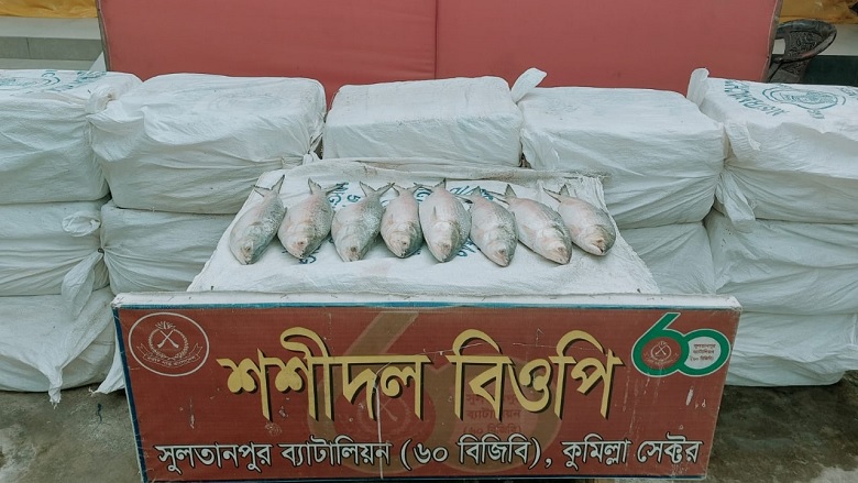 BGB seizes a huge consignment of Hilsa fish weighing 440 kilograms along Cumilla border. Photo: Collected